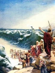 nicht übel Moses